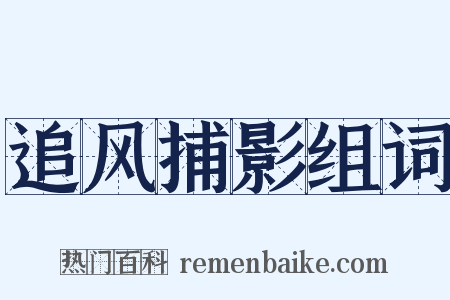 追风捕影组词是什么意思的图片